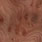 Loupe de platane